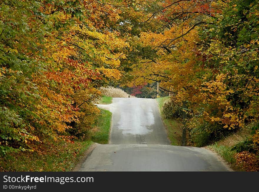 A scene with fall colors and a rolling road. A scene with fall colors and a rolling road