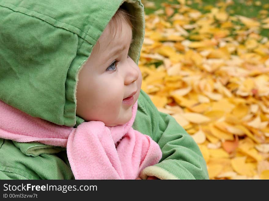 Baby In Autumn Leaves