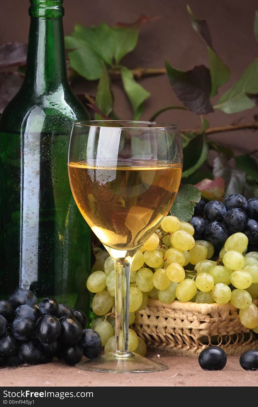 Wine Composition White Wine