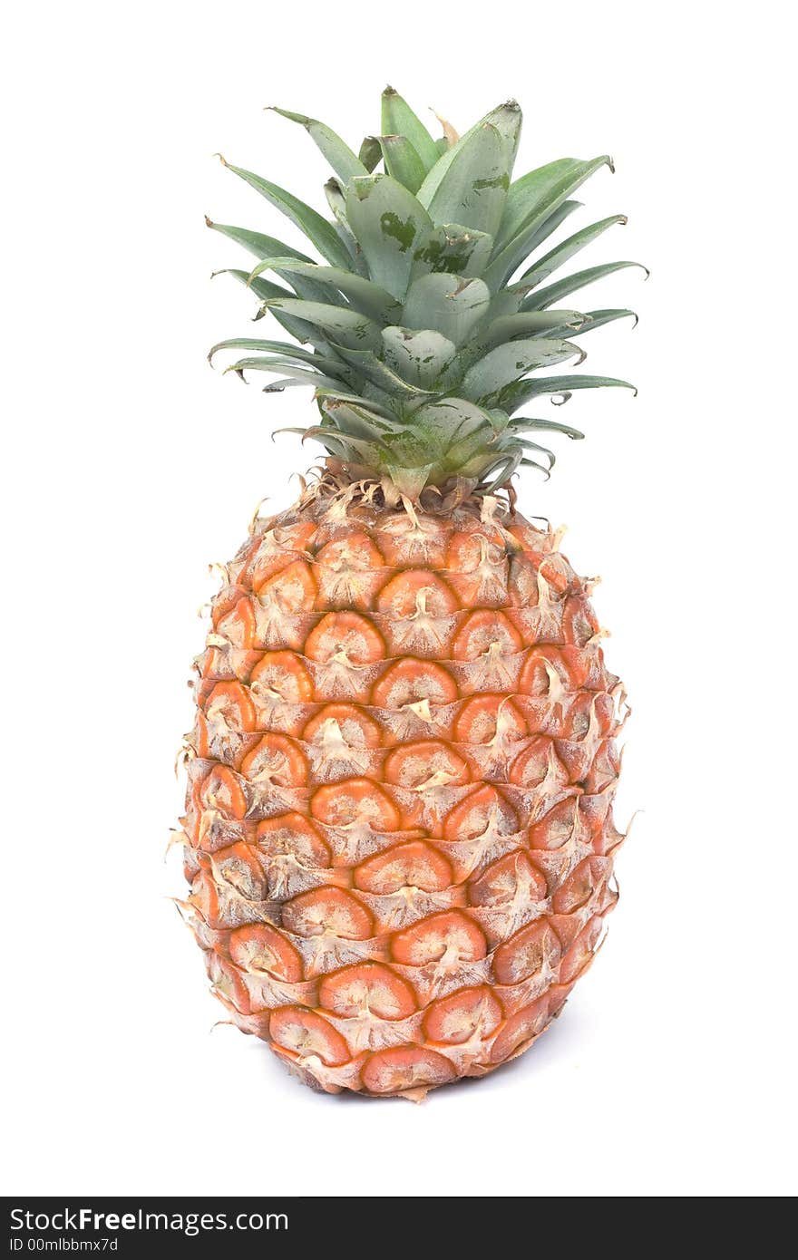 Pineapple  (Ananas Sativus)