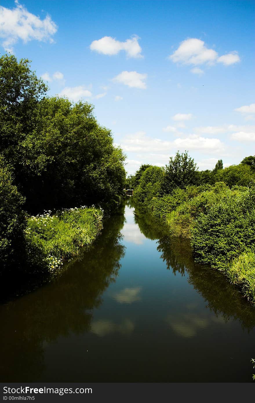 View of a country river in summertime