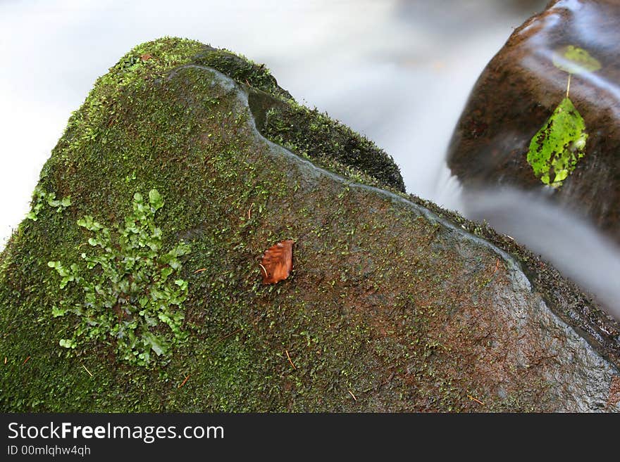 Mossy stone with leaf and moving water in creek