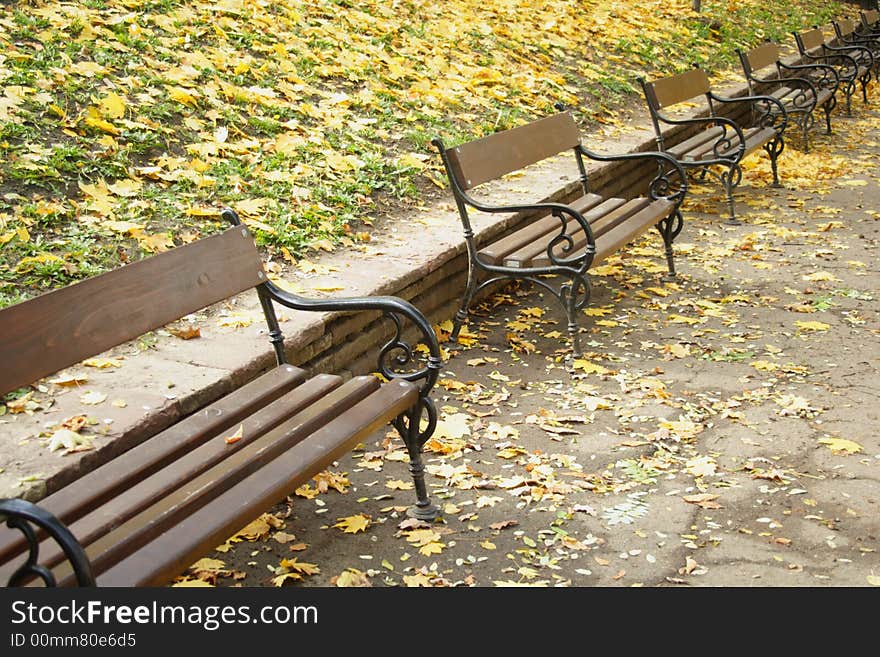 Autumn benches in the park