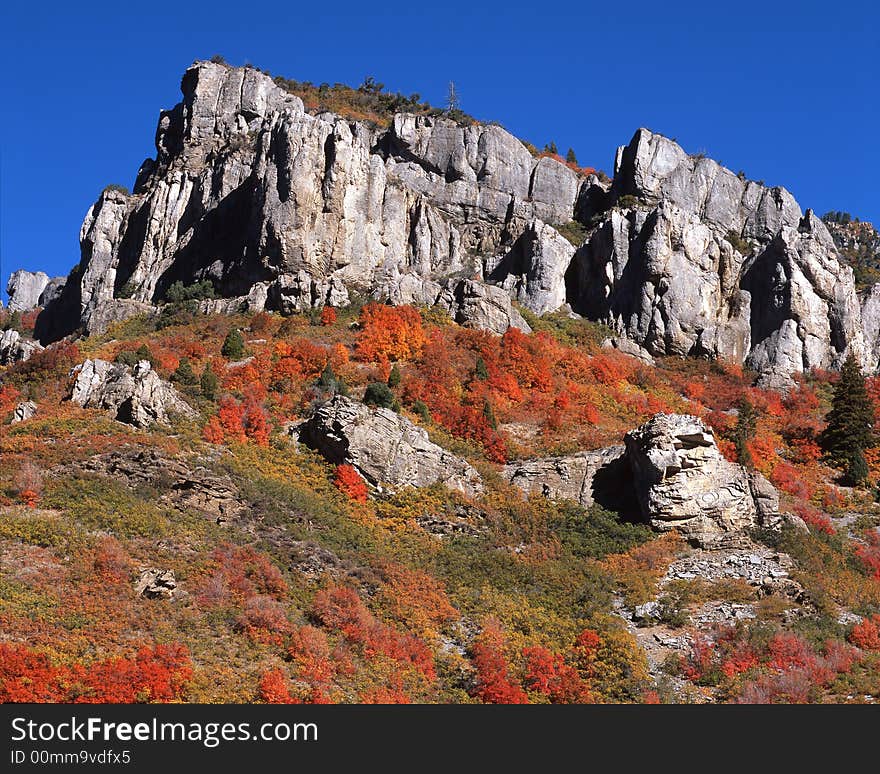 Cliff in fall color against a clear blue sky. Cliff in fall color against a clear blue sky