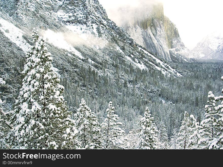 Winter forest under el capitan covered with snow. taken from the famous tunnel view spot