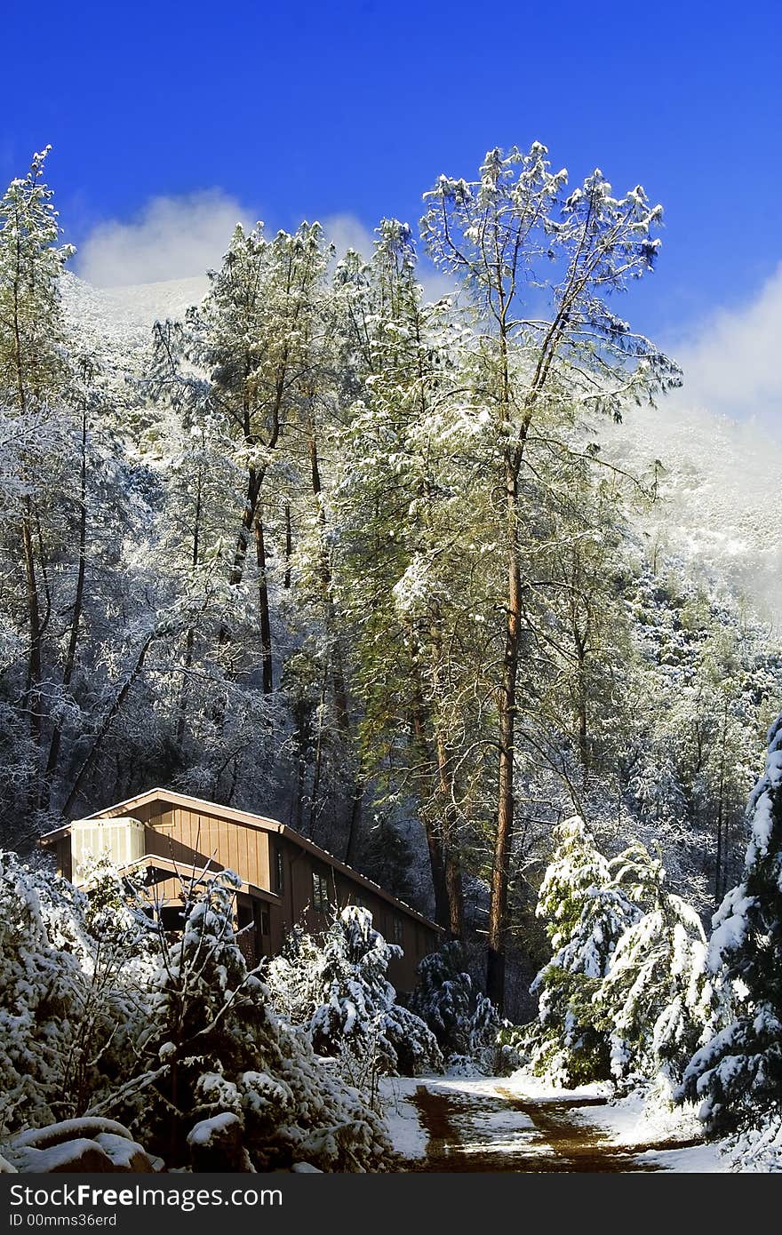 A lodge in yosemite national park with tree on the back of the lodge. A lodge in yosemite national park with tree on the back of the lodge