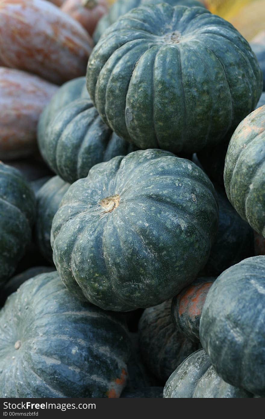 Dark green pumpkin in market