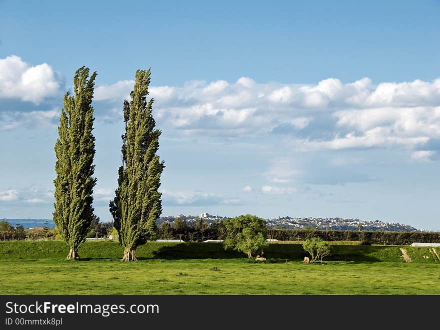 View Across Field To Town