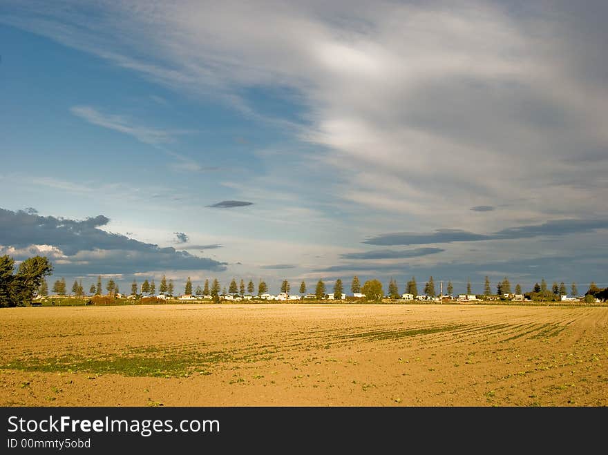 Brown Field Blue Sky