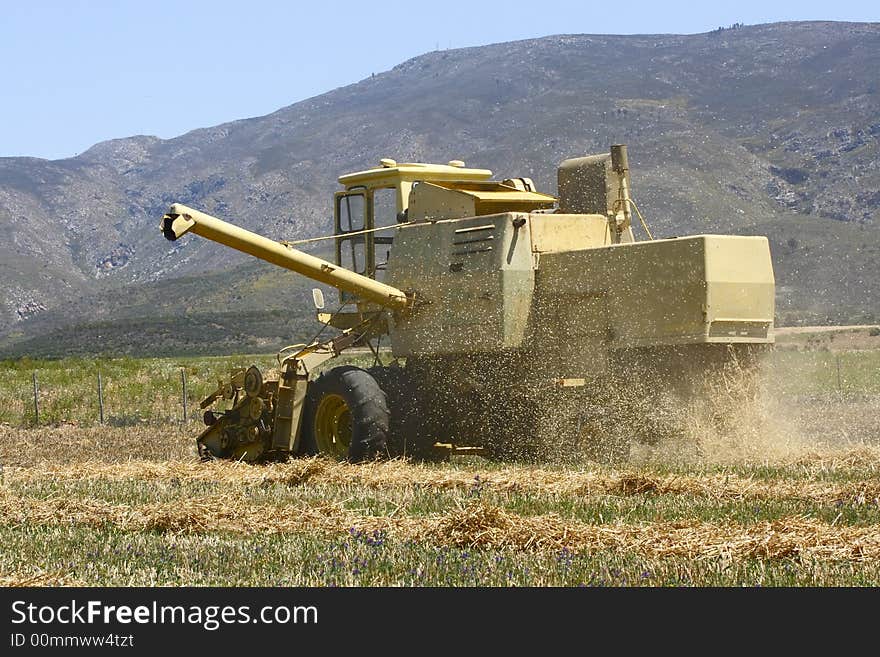 Harvester working in a field in the morning. Harvester working in a field in the morning