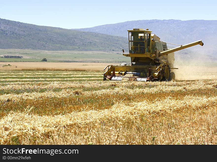 Harvester front view working in a field cutting grass. Harvester front view working in a field cutting grass