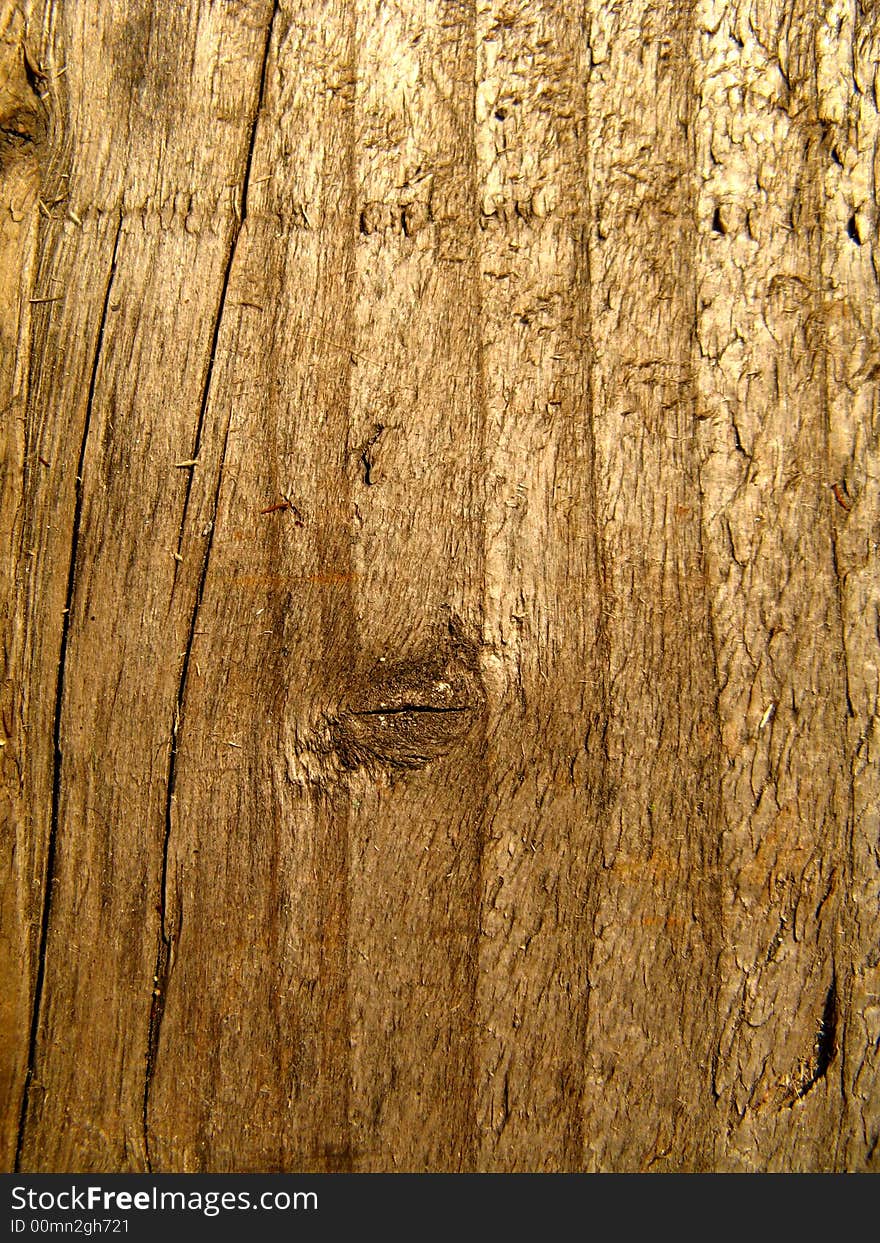 Texture/wood, shot in macro modus