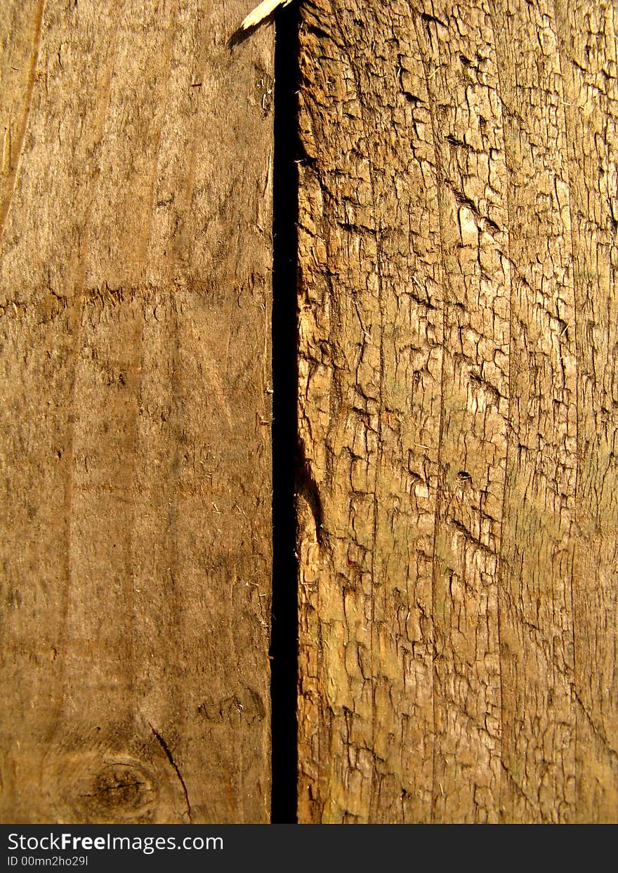 Texture/wood, shot in macro modus