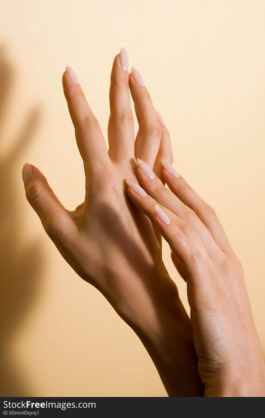 Beautiful woman's hands with good manicure. Beautiful woman's hands with good manicure