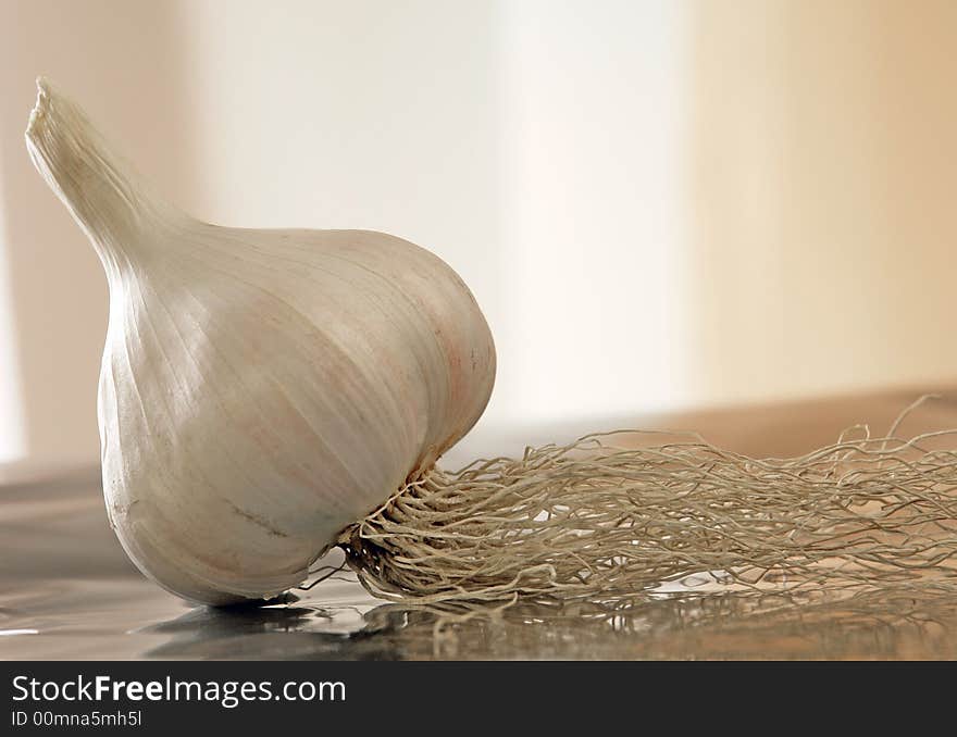 Garlic on a white background