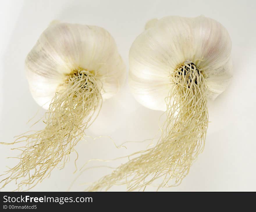 Garlic  on a white background