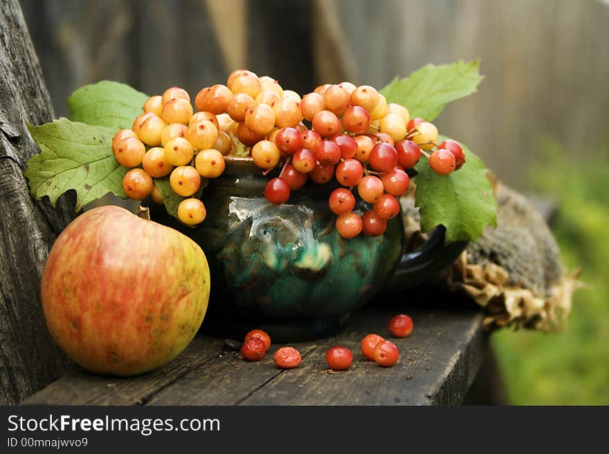 Still life - apple, mug and viburnum