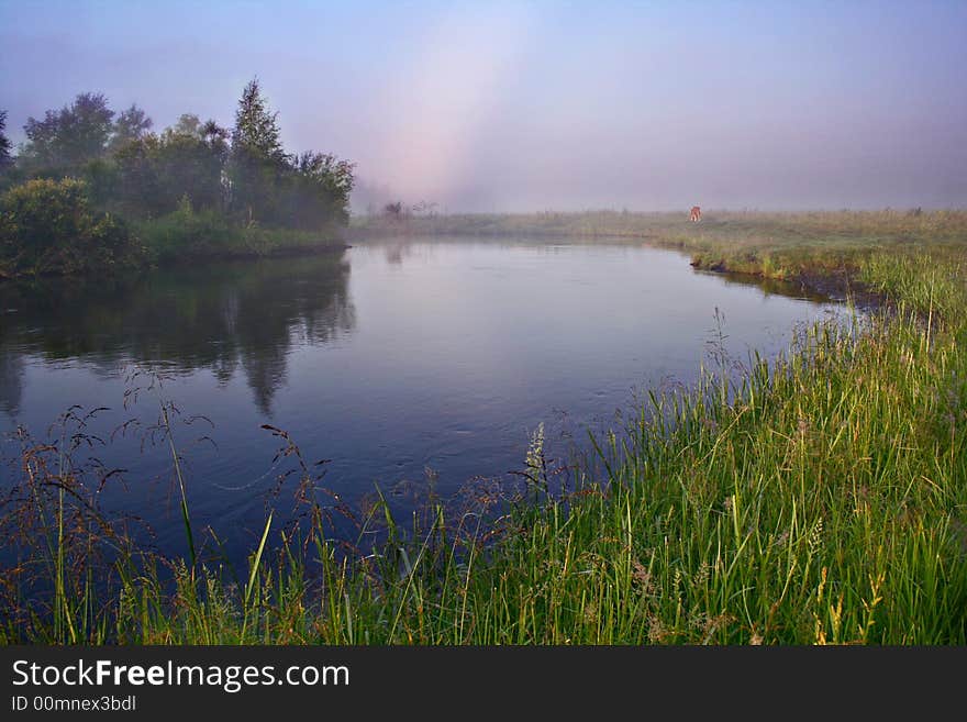 Morning at small river