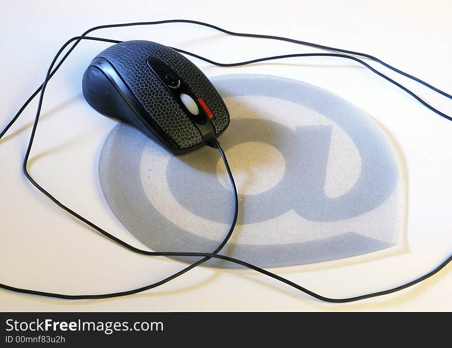 Mouse on a white background