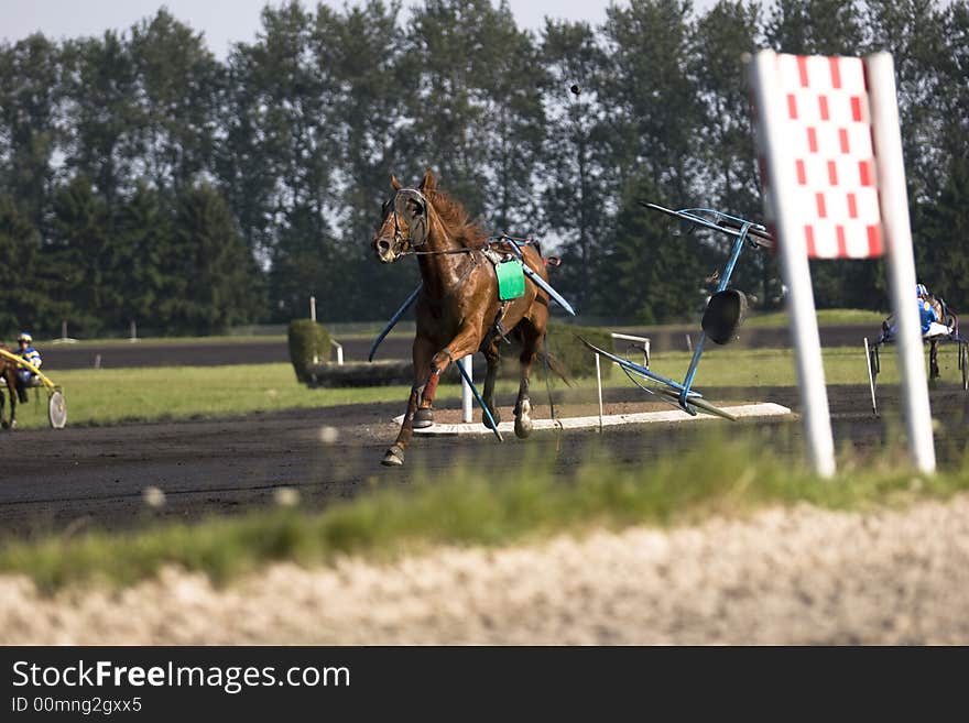 A trotter during the race. A trotter during the race