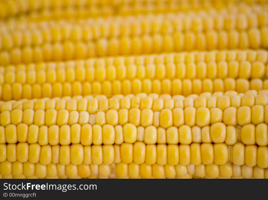 Close up of the field corn