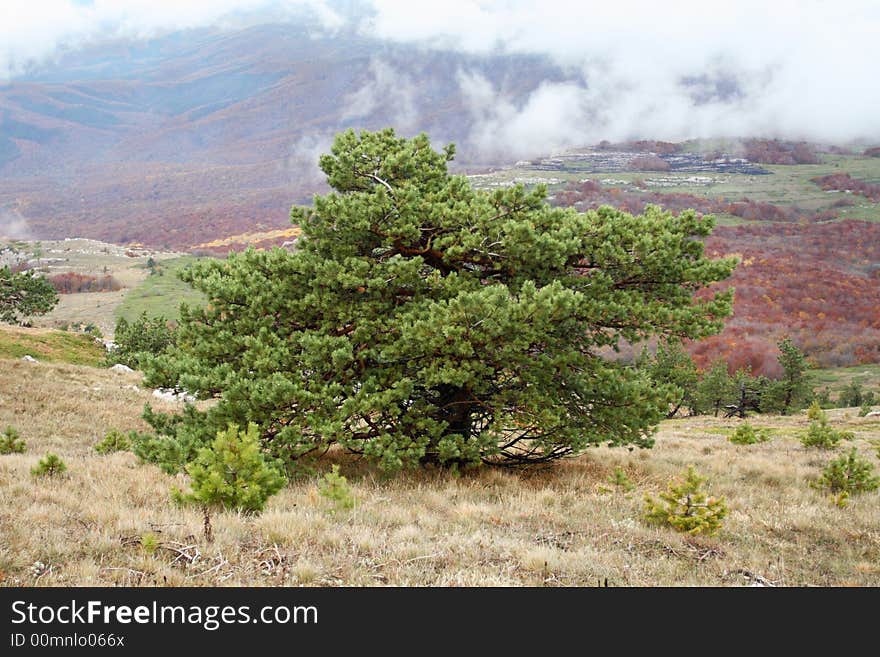 Crimean autumn mountains all in clouds tree in mountains