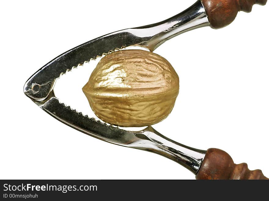 Golden walnut