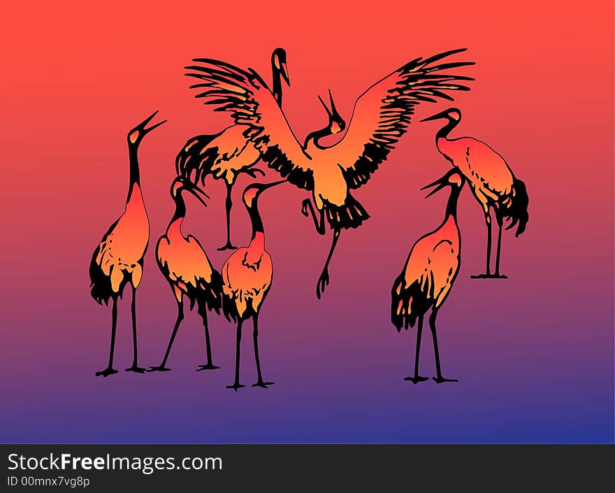 Seven dancing storks