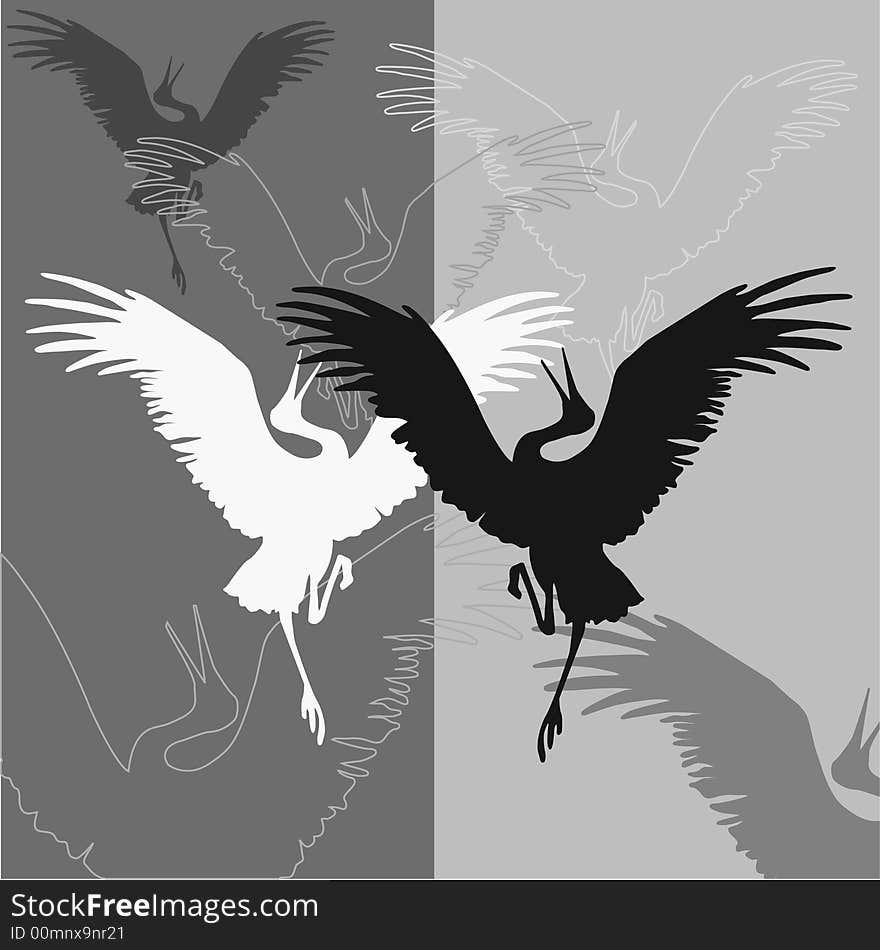 Abstract black and white contours of birds