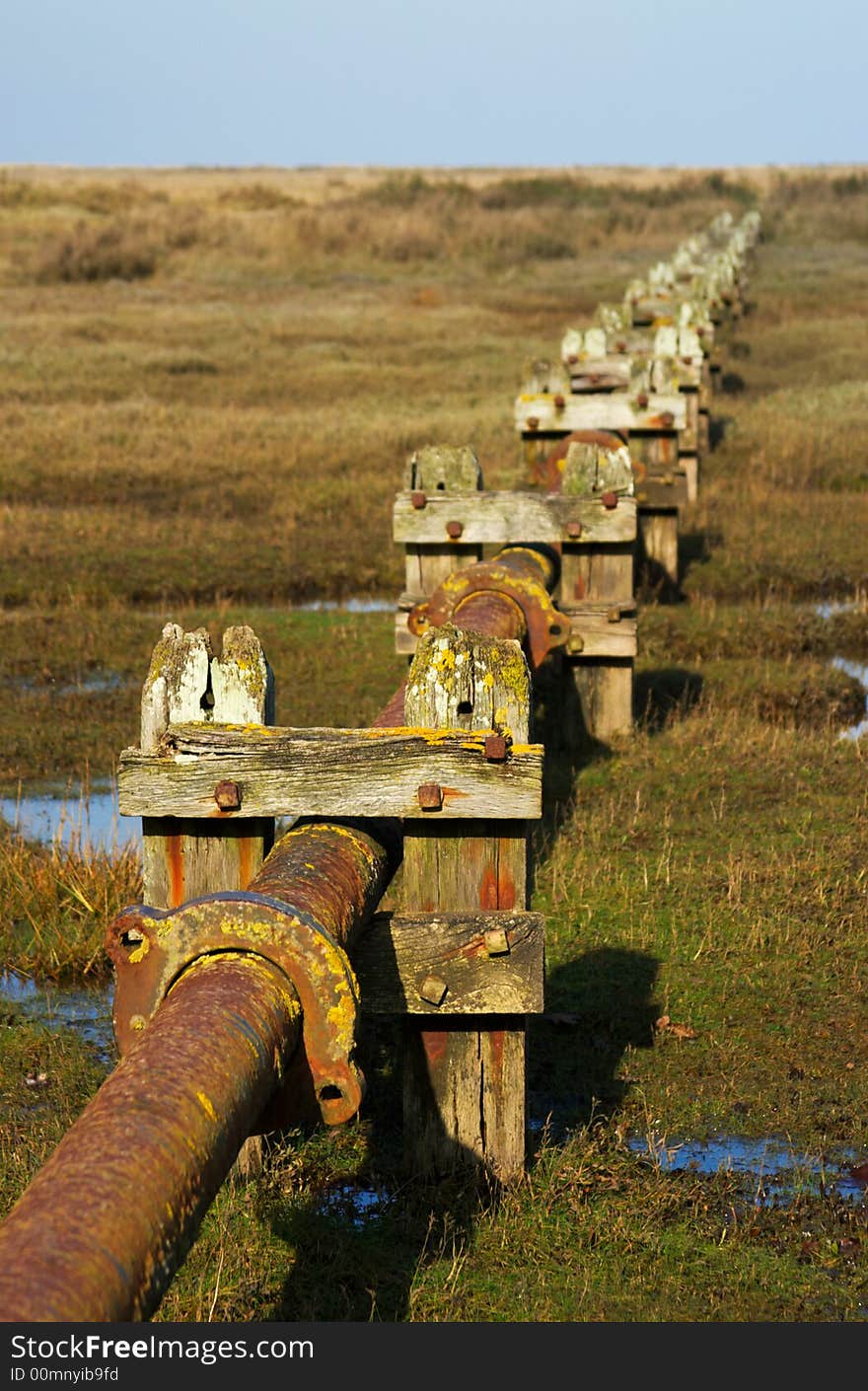 Stiffkey