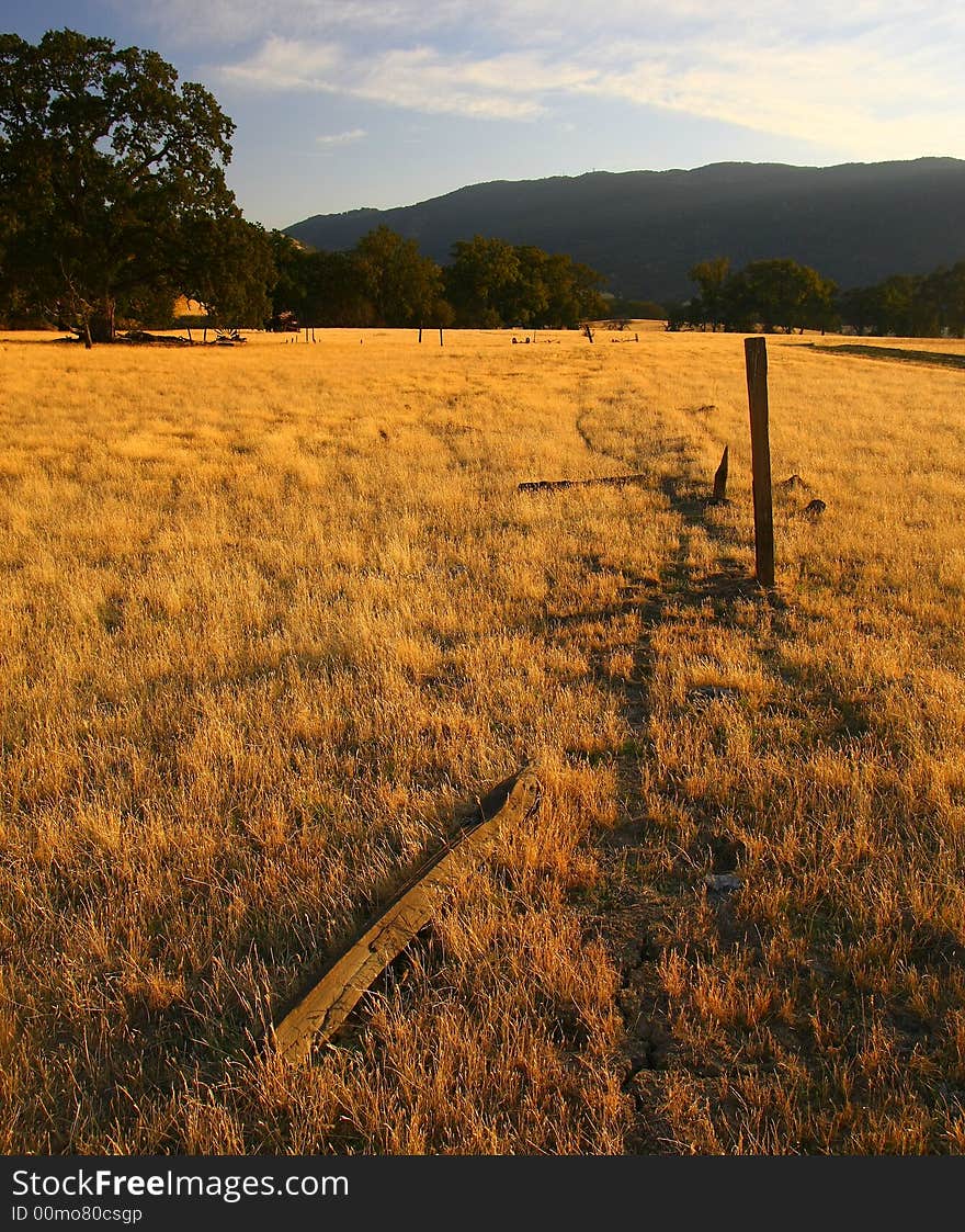 Old Fence Line