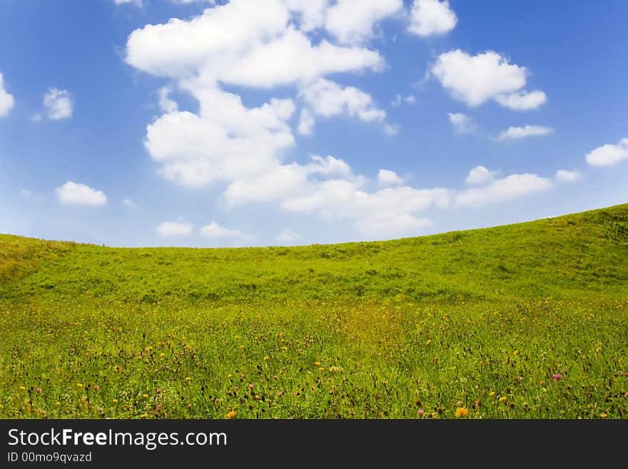 Summer day, landscape of green grass