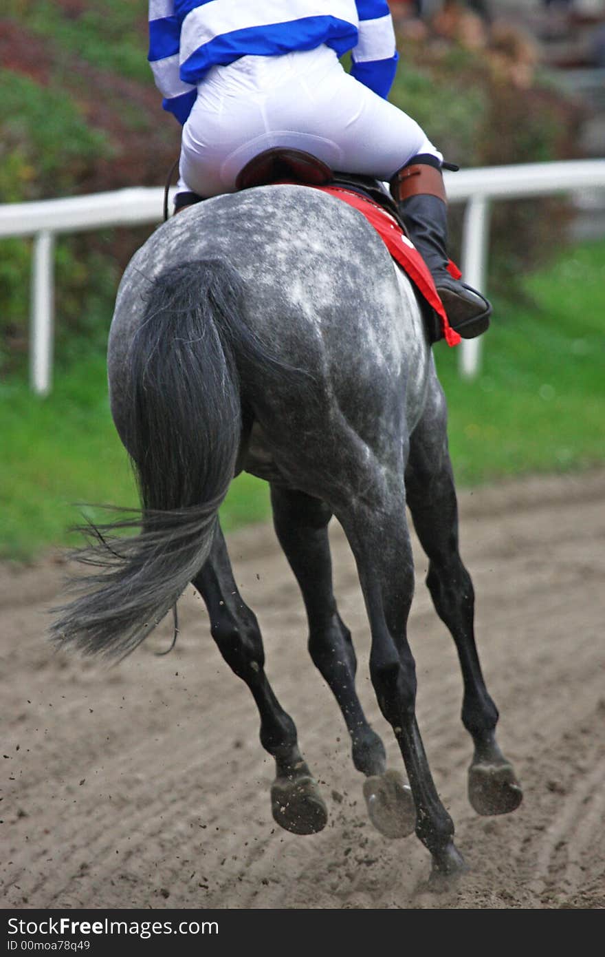 Horse and jockey at race-course, up to the finish. Horse and jockey at race-course, up to the finish