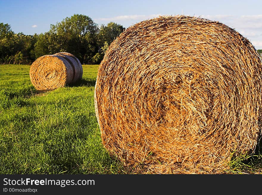 Hay bales