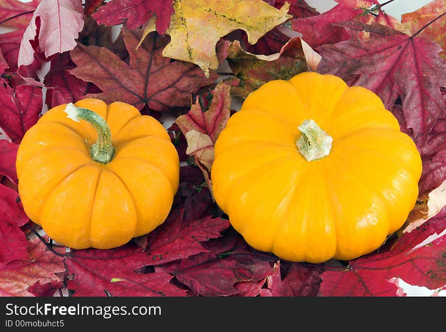 Two orange pumpkins on red leaves background