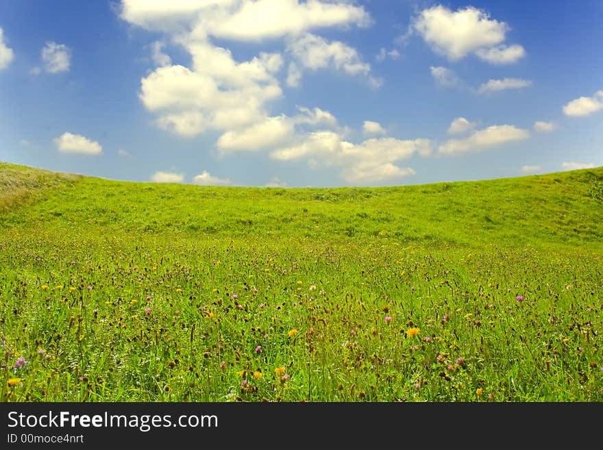 Summer day, landscape of green grass