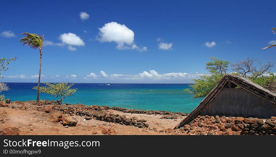 Tropical beach with palm tree and beach hut. Tropical beach with palm tree and beach hut