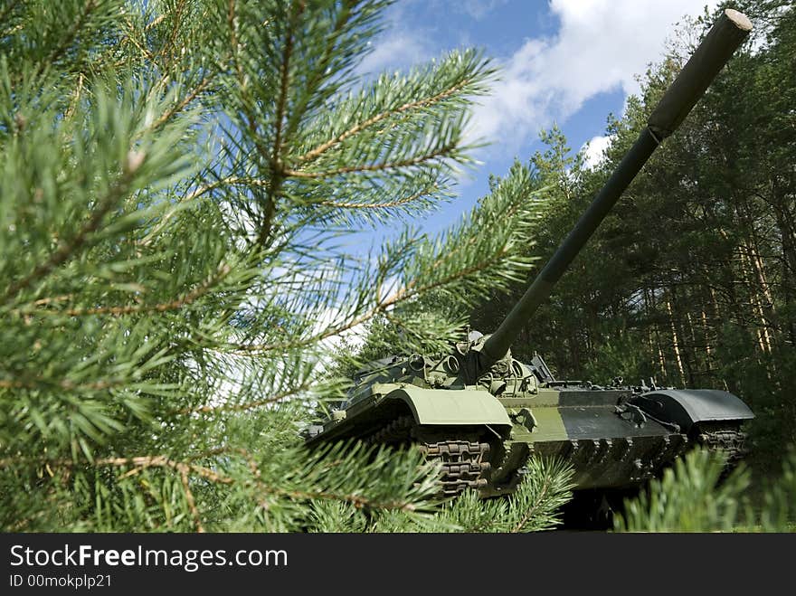 A Soviet T55 tank concealed in a northern forest. A Soviet T55 tank concealed in a northern forest.