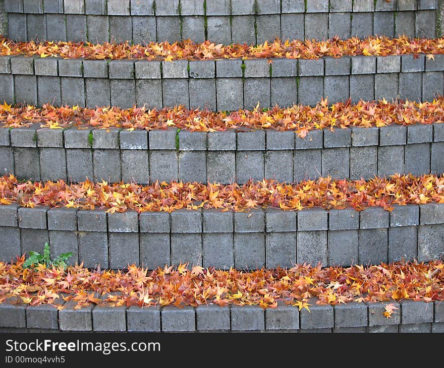 Leaf and Stair Pattern