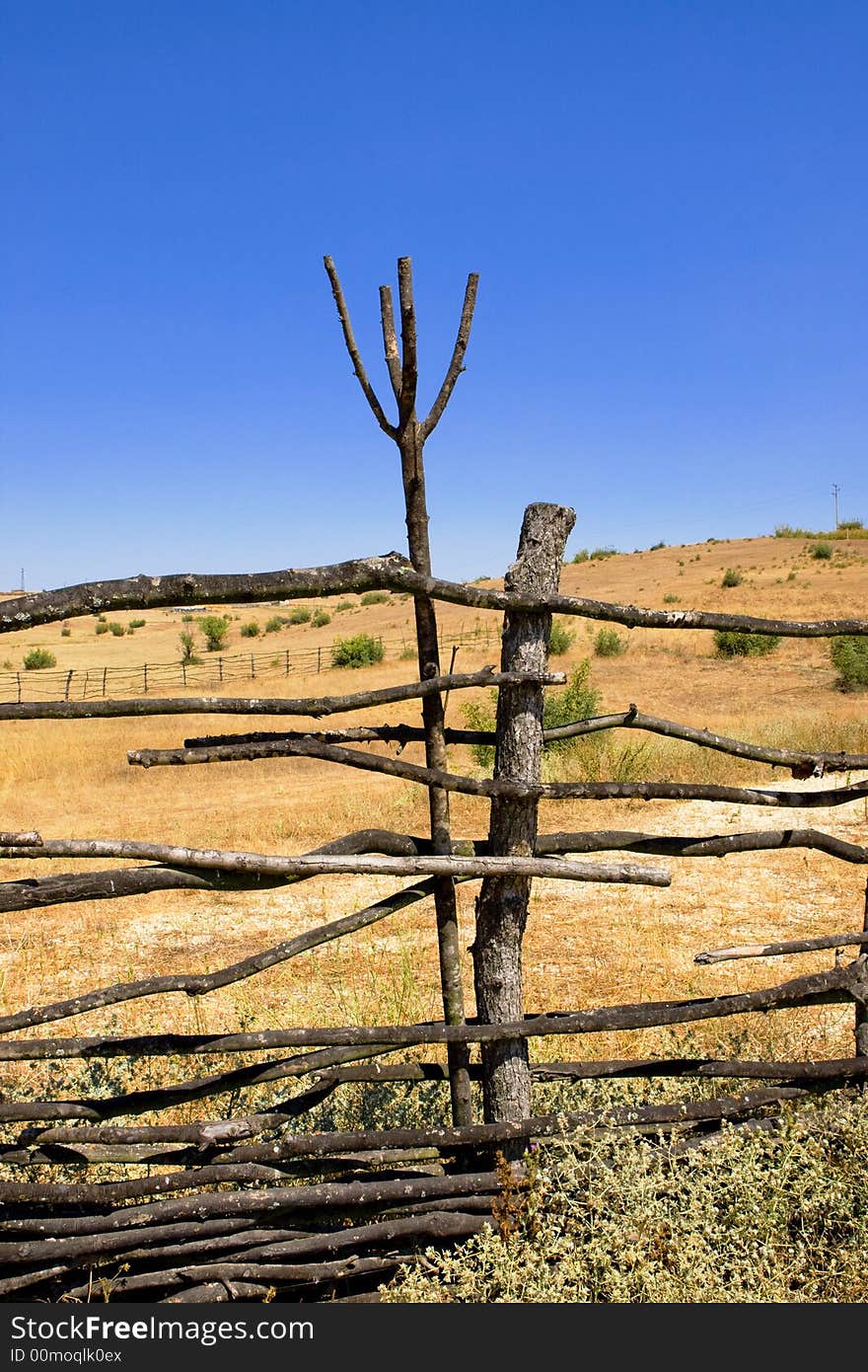 Wooden fence