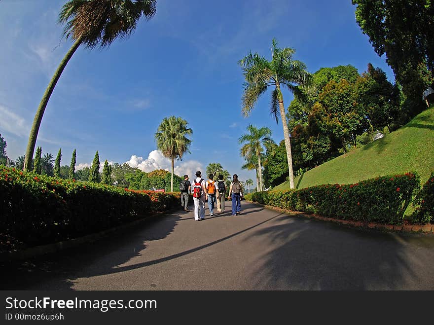 People walking to the parks