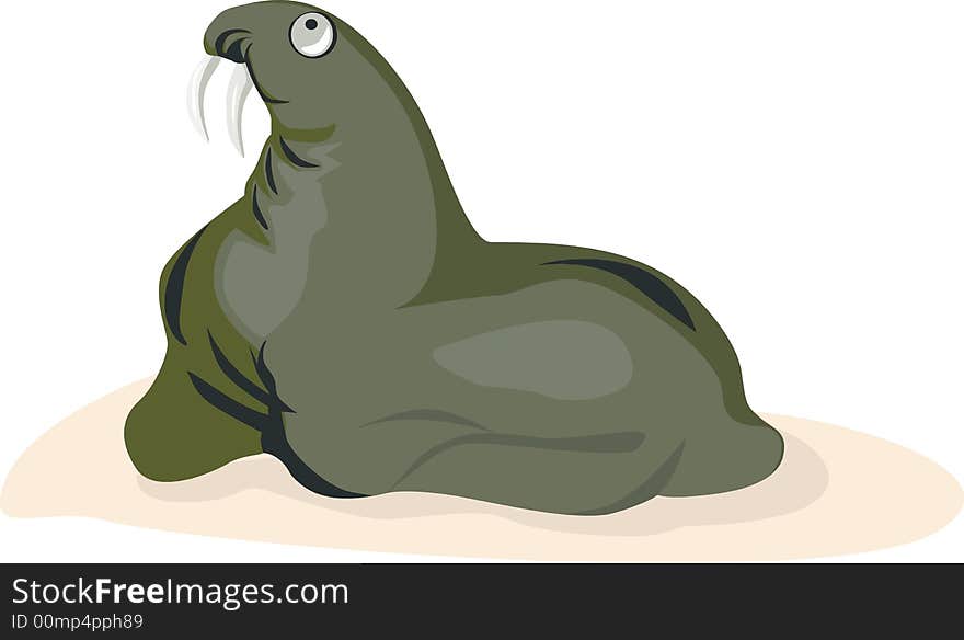 Illustration of a sea lion looking for something. Illustration of a sea lion looking for something