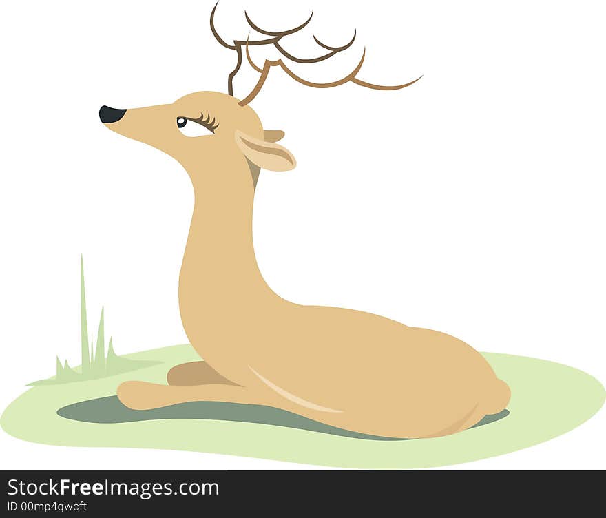 A Deer