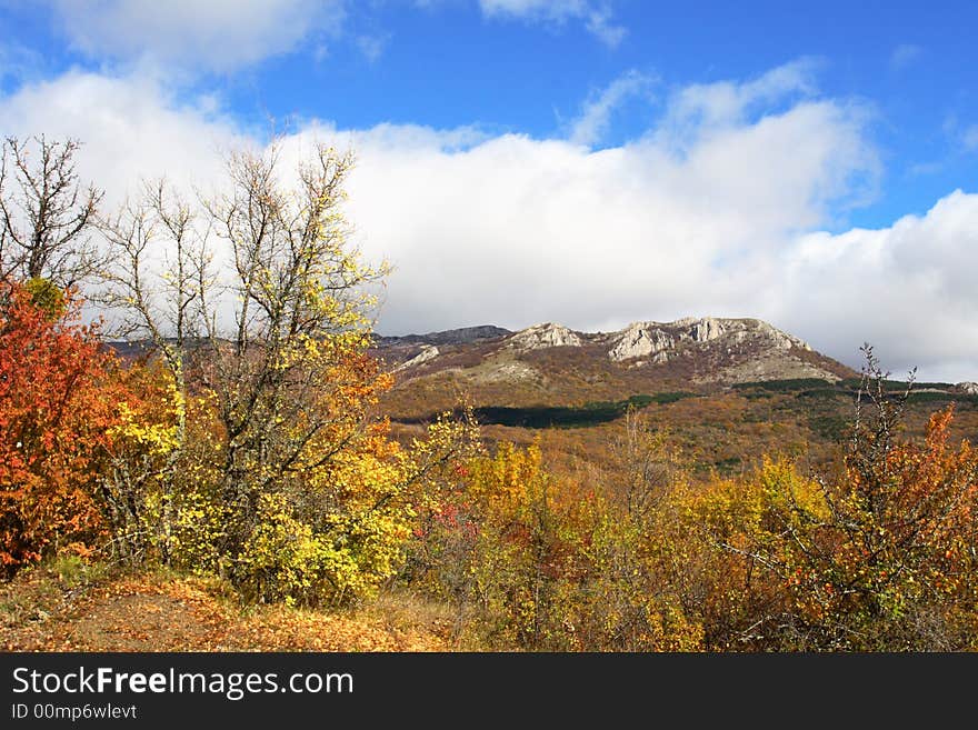 Tree in yellow leaves on a background mountains beautiful clouds dark blue sky