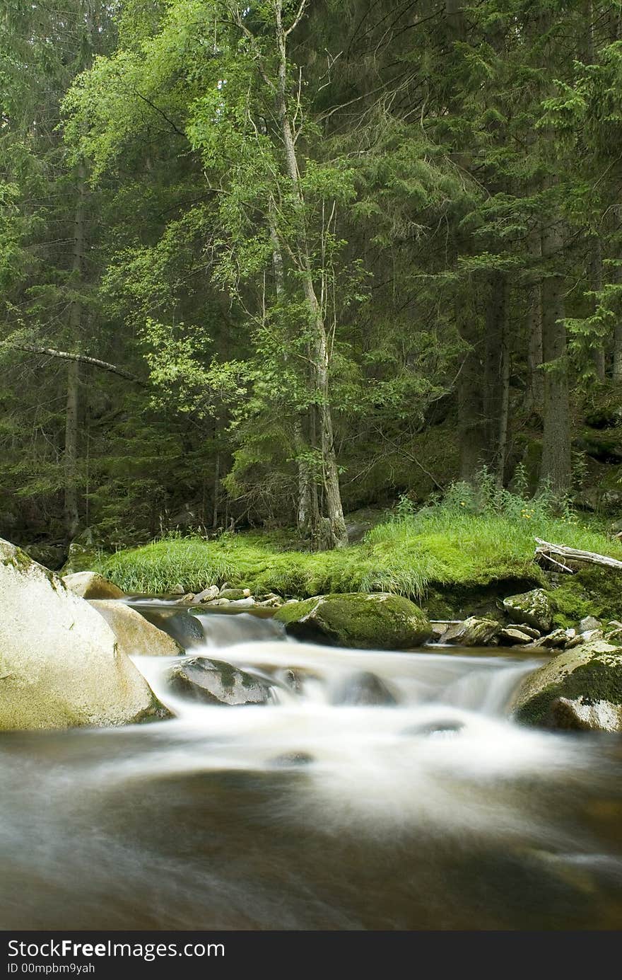 Water Torrent