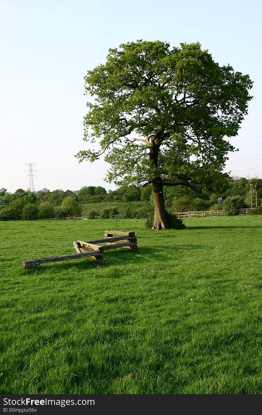 Horse training field, London, no post-processing. Horse training field, London, no post-processing