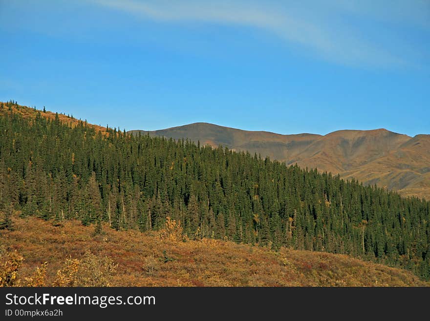 Alaska mountians in Denali Park. Alaska mountians in Denali Park.