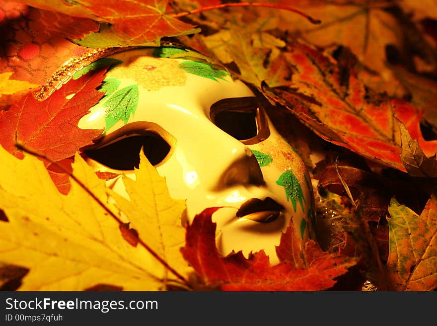 Mask in Maple leaves with different colors