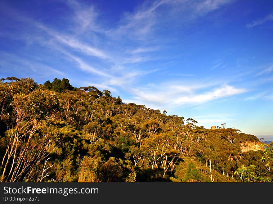 The Blue Mountains National Park is a national park in New South Wales, Australia. The Blue Mountains National Park is a national park in New South Wales, Australia