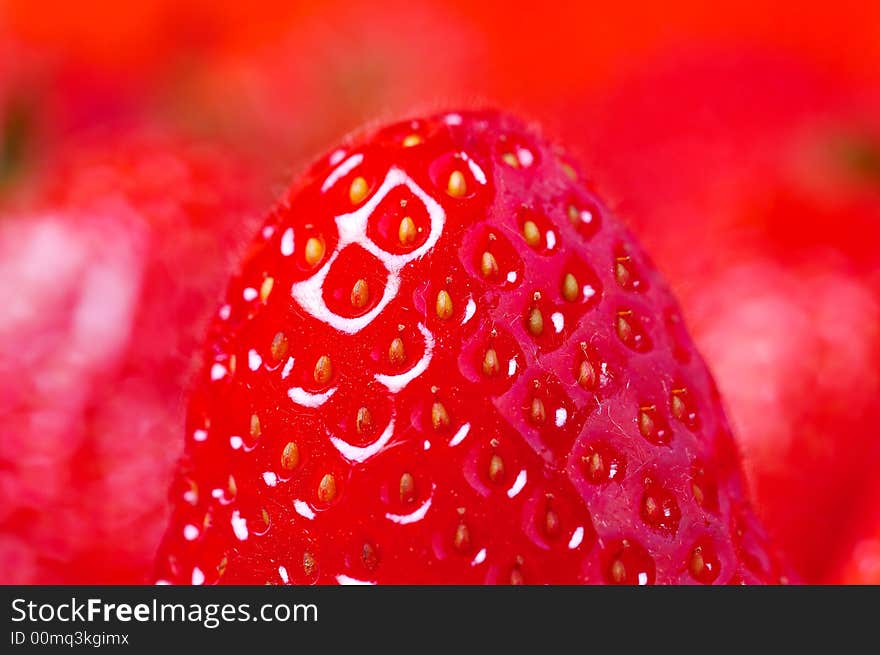 Detail of fresh bright red strawberry. Detail of fresh bright red strawberry